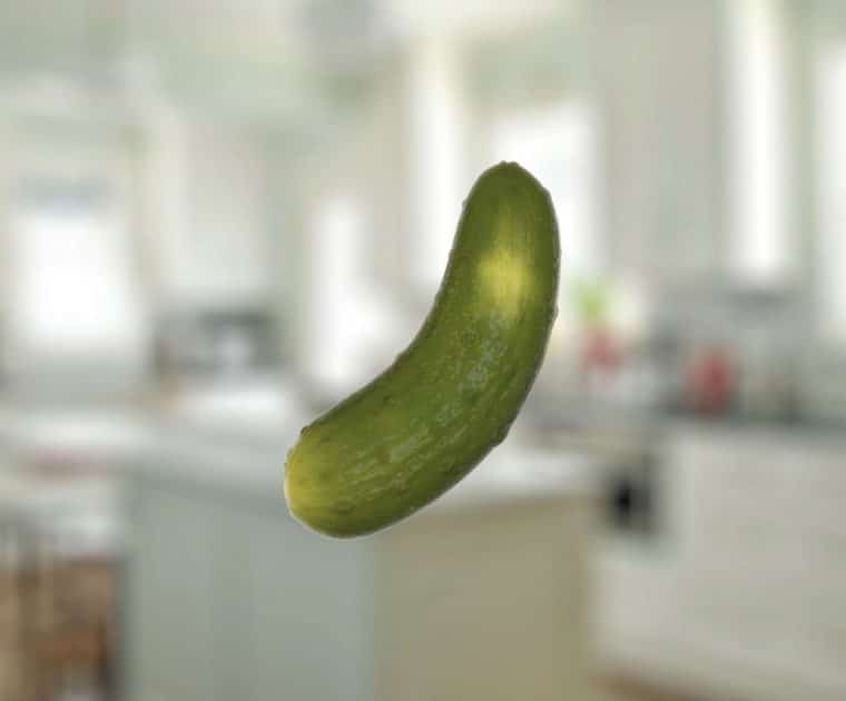 3D Render - Pickle