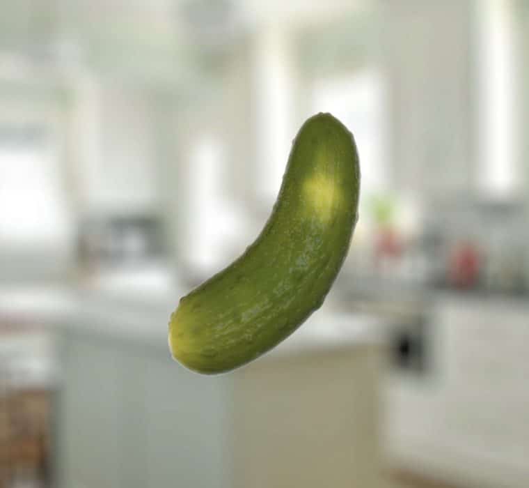 3D Render - Pickle
