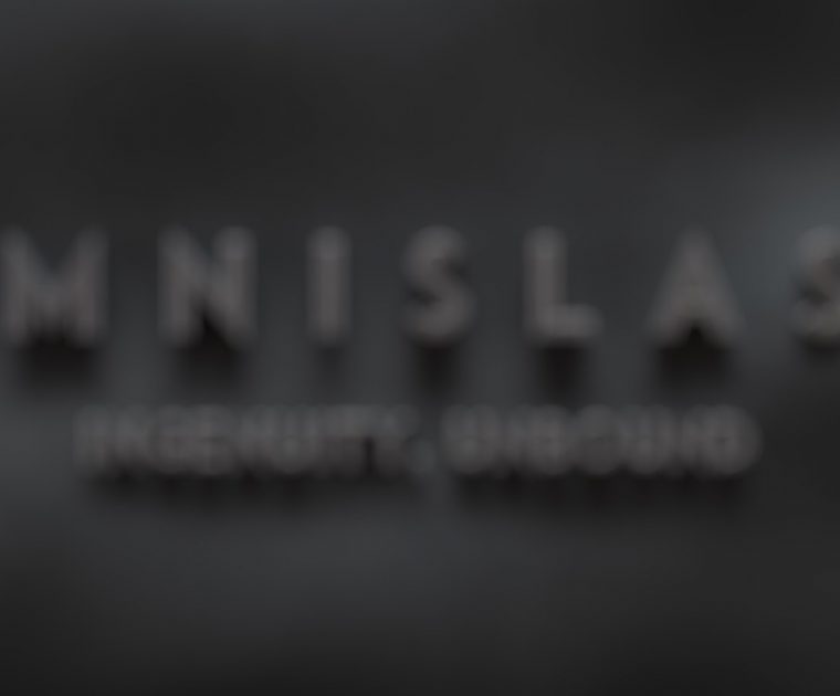 Omnislash-Visual-Blurred