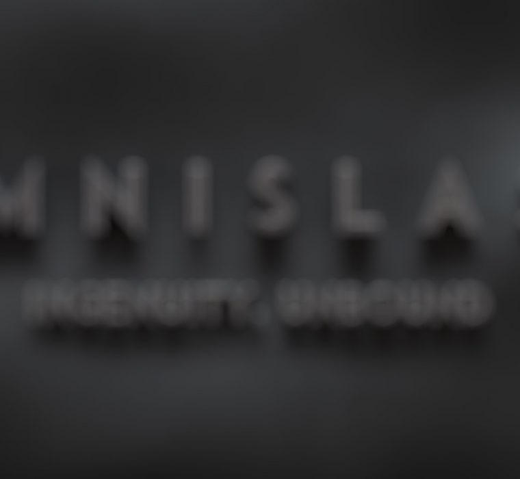 Omnislash-Visual-Blurred